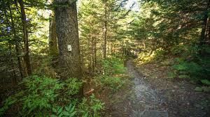 Appalachian Trail Conservancy