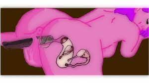 Creampie internal view