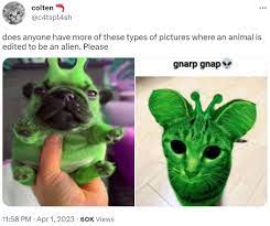 does anyone have more of these types of pictures where an animal is edited  to be an alien. Please | Alienposting / Zeep Glorp | Know Your Meme