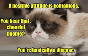 Lolcats - positive - LOL at Funny Cat Memes - Funny cat pictures with words  on them - lol | cat memes | funny cats | funny cat pictures with words on