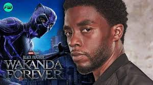He was Black Panther to everyone": Black Panther 2 Scene Reveals Heart  Wrenching Scene of Nakia and Okoye Addressing Chadwick Boseman's King  T'Challa Passing Away