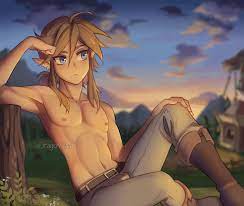 Link - BOTW : r/linkiscute