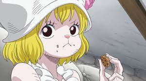 ワンピース 可愛いキャラランキング 2022最新版 30位～1位 ※画像あり | 未来の本棚