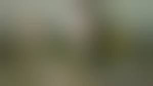 Stoya & Mick Blue in Top Guns, Scene 2 - Porn video | TXXX.com