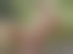 Reiz Teens Nackt In The Woods | video clip N7746558