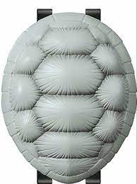 Roshi turtle shell