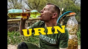 Urin Trinken - Destille - YouTube