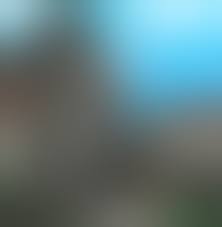 porn