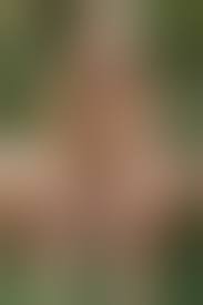 Teen Girl hockt nackt im Wald Bild | pics4men.com