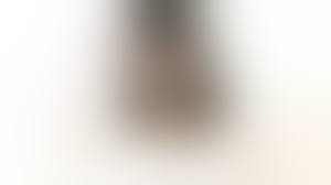 Most Relevant Video Results: kiga natsuno | Ruvideos.net