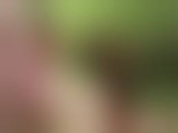 Nackte Im Wald Handy Pornos - NurXXX.mobi