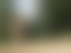 NSFW Tumblr : fkk-luemmel