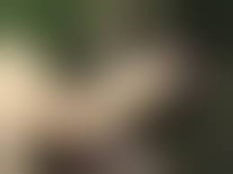 Wald Heiße nackte Girls - Nu-bay.com