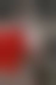 Stoya Top Guns - Pichunter