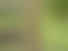 Bayrische Dirndl Girls Teil 3 - PornZog Free Porn Clips