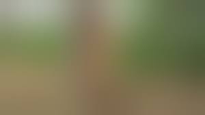 Teen im wald - Top compilations Free.
