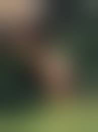 Erotik Girls - 52 photos