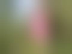 Nackt im wald - PornZog Free Porn Clips