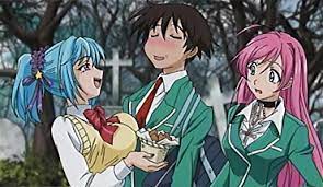 ロザリオとバンパイア・第２話: 異常感想注意報