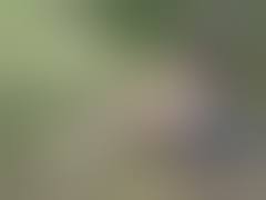 Naked teen in the forest - sex video N9091288