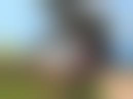 Post 5378524: Enderman JarnQK Minecraft Sheep
