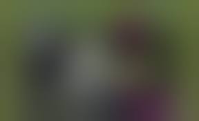 Teen Titans Porn gif animated, Rule 34 Animated