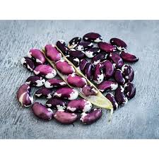Green Bean Seeds | Baker Creek Heirloom Seeds