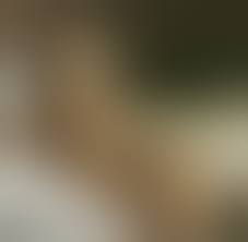 Tragischer Filmstar: Romy Schneider – die Frau, die nach Liebe gierte - WELT