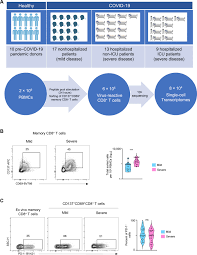 Severely ill patients with COVID-19 display impaired exhaustion features in  SARS-CoV-2–reactive CD8+ T cells | Science Immunology