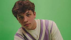 CelebGaydar