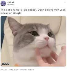 Know Your Meme
