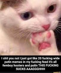 I shit you not I just got like 20 fucking wide putin memes in my fucking