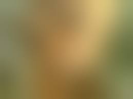 Beste Mann Und Frau Nackt Sexvideos und Pornofilme - Freieporno.com