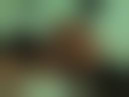 Ffm Blindfold Free Sex Videos - Watch Beautiful and Exciting Ffm Blindfold  Porn at anybunny.com