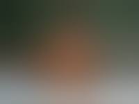 Freundin nackt auf dem Bett - Jenny (19) privat nackt - Privat Sex Bilder