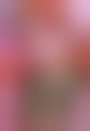 ぶひドウ！ エロ漫画同人誌