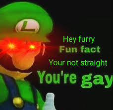 When a GAY male furry kisses a straight furry - Meme by Yvir :) Memedroid