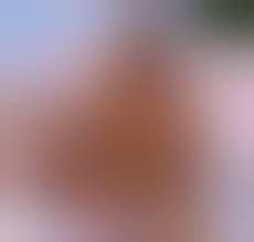 GermanfakeNudes | Pictures | Scrolller NSFW