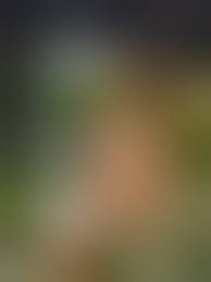 Natürlich nackt - WordPress.com