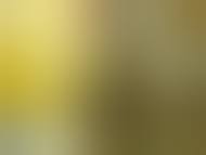 Natalya Rudakova Nude Pics & Videos, Sex Tape < ANCENSORED