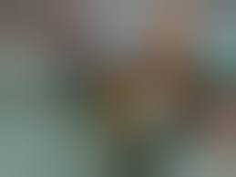 Arsch nackt einkaufen