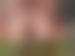 Nackte Frauen Beim Vogeln - Porno @ TeatroPorno.com