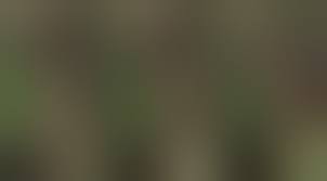 Naked Ruth Maria Kubitschek in Im Fluss des Lebens < ANCENSORED