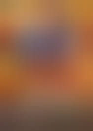 Adult DVD Marketplace