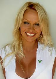 Pamela Anderson - Türkçe Bilgi