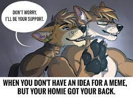 Not A Furry on Twitter: 