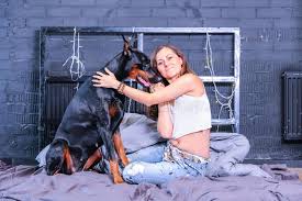 Frau Im Bett Mit Großem Hund Stockbild - Bild von mode, freunde: 88478611
