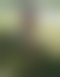 Nacktsonnen