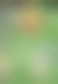 ポケモン】色んなポケモンたちがセックスし合う総集本！(150p) | エロ画像 シコリーナ