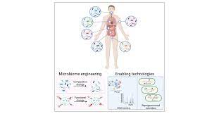 Microbiome and Human Health: Current Understanding, Engineering, and  Enabling Technologies | Chemical Reviews